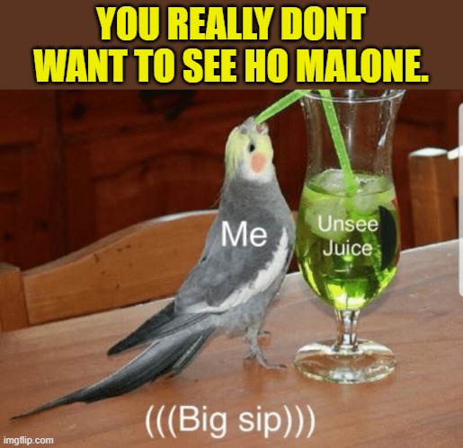 Unsee juice | YOU REALLY DONT WANT TO SEE HO MALONE. | image tagged in unsee juice | made w/ Imgflip meme maker