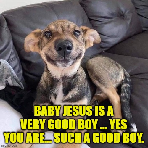 smiling dog | BABY JESUS IS A VERY GOOD BOY ... YES YOU ARE... SUCH A GOOD BOY. | image tagged in smiling dog | made w/ Imgflip meme maker