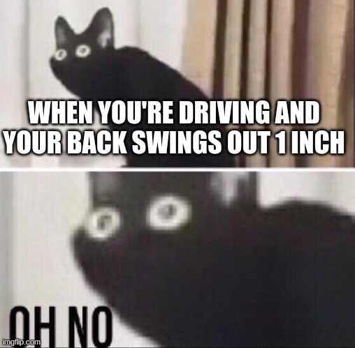 Oh no cat | WHEN YOU'RE DRIVING AND YOUR BACK SWINGS OUT 1 INCH | image tagged in oh no cat,driving,snow | made w/ Imgflip meme maker