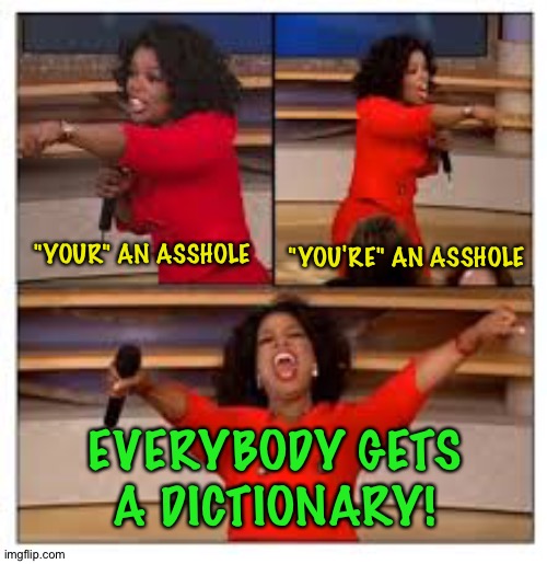 Oprah Everyone Get A Dick | "YOUR" AN ASSHOLE "YOU'RE" AN ASSHOLE EVERYBODY GETS A DICTIONARY! | image tagged in oprah everyone get a dick | made w/ Imgflip meme maker