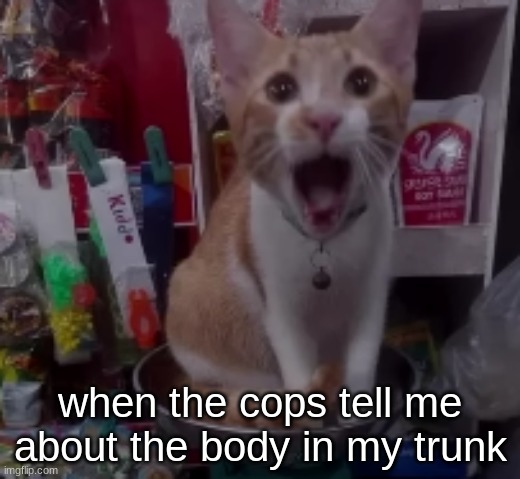 real | when the cops tell me about the body in my trunk | image tagged in cereal | made w/ Imgflip meme maker