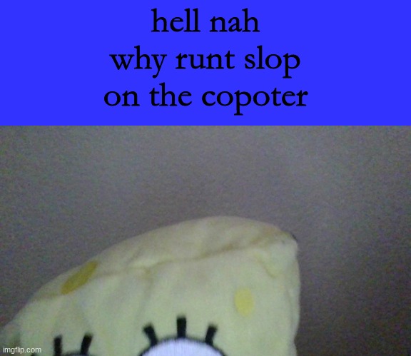 hell nah why runt slop on the copoter | image tagged in hell nah why runt slop on the copoter | made w/ Imgflip meme maker