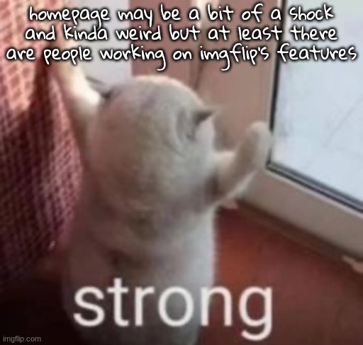 strong cat | homepage may be a bit of a shock and kinda weird but at least there are people working on imgflip's features | image tagged in strong cat | made w/ Imgflip meme maker