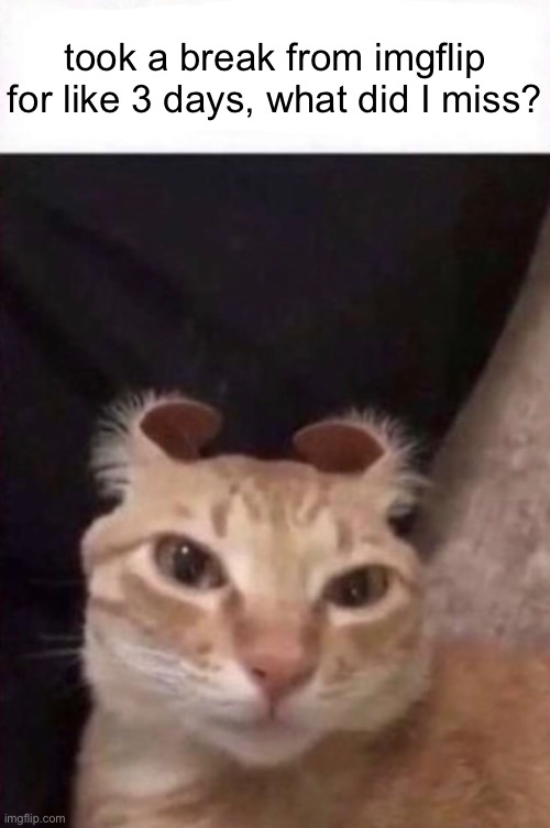 and did the December 9th raid actually happen? | took a break from imgflip for like 3 days, what did I miss? | image tagged in this is a laughing matter | made w/ Imgflip meme maker