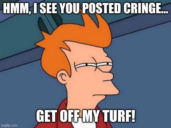 i see you posted cringe (not disrespectful, its for outside of this website) | HMM, I SEE YOU POSTED CRINGE... GET OFF MY TURF! | image tagged in memes,futurama fry | made w/ Imgflip meme maker