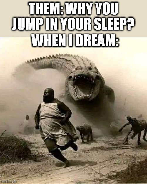 Them: Why you jump in your sleep? | THEM: WHY YOU JUMP IN YOUR SLEEP? WHEN I DREAM: | image tagged in crocodile,funny,dream,jump,nightmare,nightmares | made w/ Imgflip meme maker