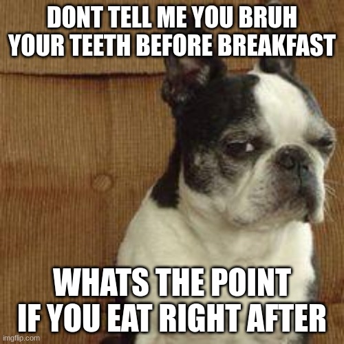 this makes sence | DONT TELL ME YOU BRUH YOUR TEETH BEFORE BREAKFAST; WHATS THE POINT IF YOU EAT RIGHT AFTER | image tagged in sideeye dog | made w/ Imgflip meme maker