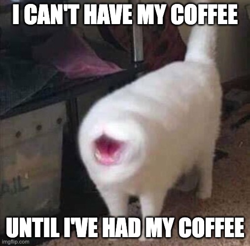 I can't have my coffee until I've had my coffee | I CAN'T HAVE MY COFFEE; UNTIL I'VE HAD MY COFFEE | image tagged in cat face is all mouth | made w/ Imgflip meme maker