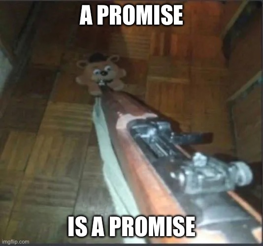 Gun pointing at freddy | A PROMISE IS A PROMISE | image tagged in gun pointing at freddy | made w/ Imgflip meme maker