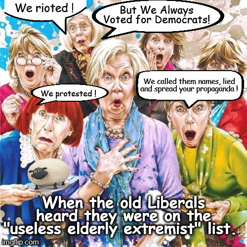 liberal extremists | We called them names, lied and spread your propaganda ! | image tagged in liberals,extremist,democrats,2024 election,old women,democrat women | made w/ Imgflip meme maker