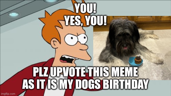 Shut Up And Take My Money Fry Meme | YOU!

YES, YOU! PLZ UPVOTE THIS MEME AS IT IS MY DOGS BIRTHDAY | image tagged in memes,shut up and take my money fry | made w/ Imgflip meme maker