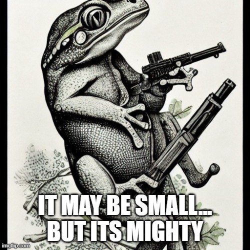 frog | IT MAY BE SMALL...
BUT ITS MIGHTY | image tagged in gun | made w/ Imgflip meme maker