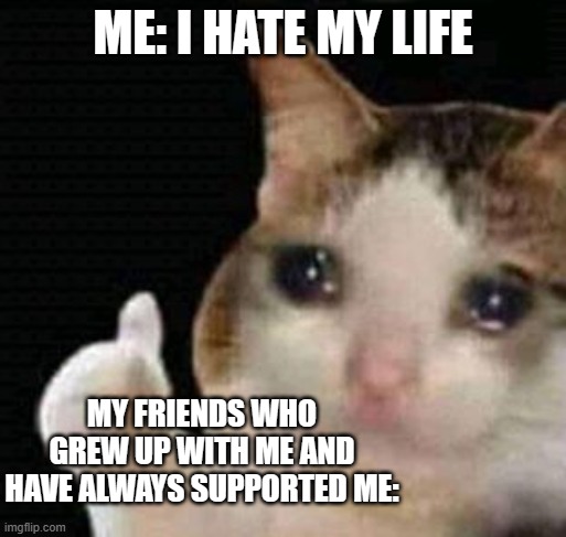 I don't mean it thooo- my friends are the best part of my life, if I didn't have them THEN I would hate my life FR. | ME: I HATE MY LIFE; MY FRIENDS WHO GREW UP WITH ME AND HAVE ALWAYS SUPPORTED ME: | image tagged in sad thumbs up cat,memes,relatable memes,friendship | made w/ Imgflip meme maker