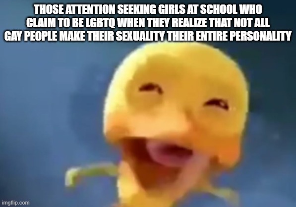 crying duck | THOSE ATTENTION SEEKING GIRLS AT SCHOOL WHO CLAIM TO BE LGBTQ WHEN THEY REALIZE THAT NOT ALL GAY PEOPLE MAKE THEIR SEXUALITY THEIR ENTIRE PERSONALITY | image tagged in crying duck | made w/ Imgflip meme maker