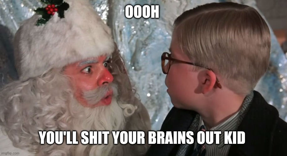 Christmas Story | OOOH YOU'LL SHIT YOUR BRAINS OUT KID | image tagged in christmas story | made w/ Imgflip meme maker