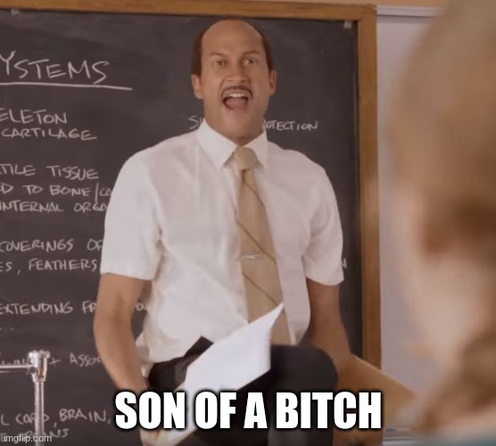 Substitute Teacher(Son-of-a-bitch) | SON OF A BITCH | image tagged in substitute teacher son-of-a-bitch | made w/ Imgflip meme maker