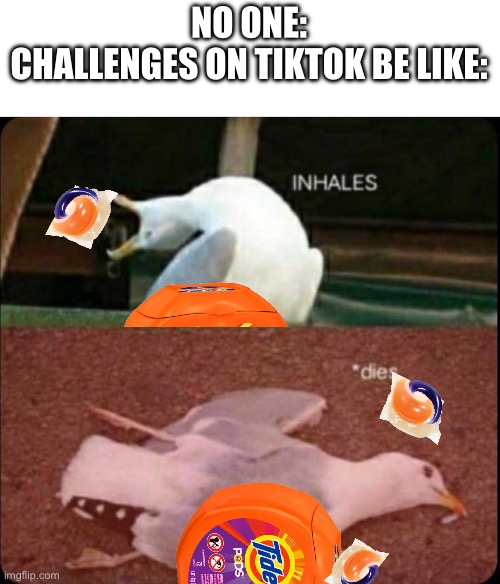 Why did it exist | NO ONE:
CHALLENGES ON TIKTOK BE LIKE: | image tagged in inhales dies bird,tide pod challenge | made w/ Imgflip meme maker