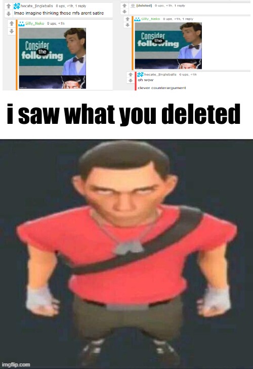 i saw what you deleted scout | image tagged in i saw what you deleted scout | made w/ Imgflip meme maker
