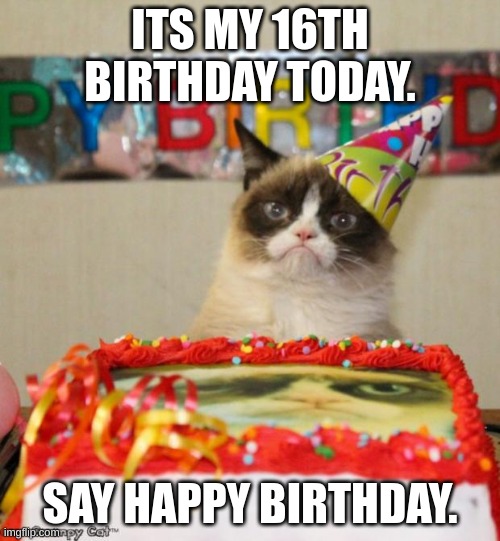 its my birthday | ITS MY 16TH BIRTHDAY TODAY. SAY HAPPY BIRTHDAY. | image tagged in memes,grumpy cat birthday,grumpy cat | made w/ Imgflip meme maker