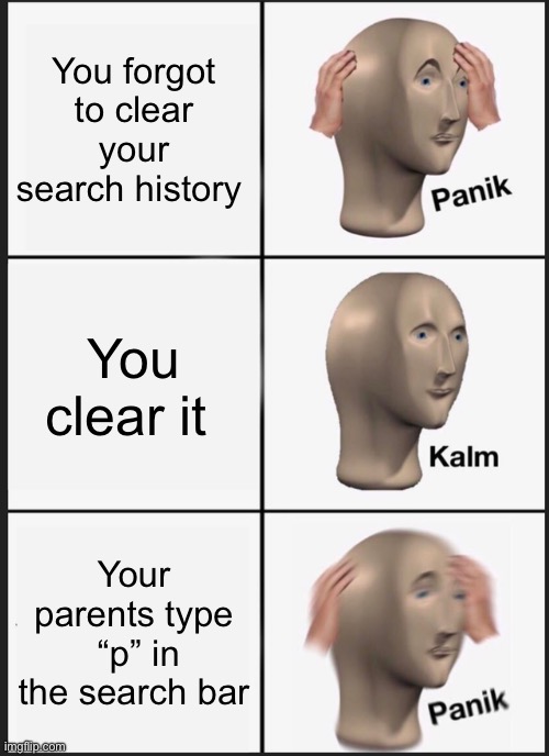 Clear your search history… | You forgot to clear your search history; You clear it; Your parents type  “p” in the search bar | image tagged in memes,panik kalm panik | made w/ Imgflip meme maker