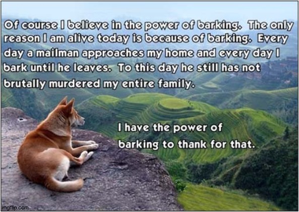 Why Dogs Bark | image tagged in dogs,barking | made w/ Imgflip meme maker