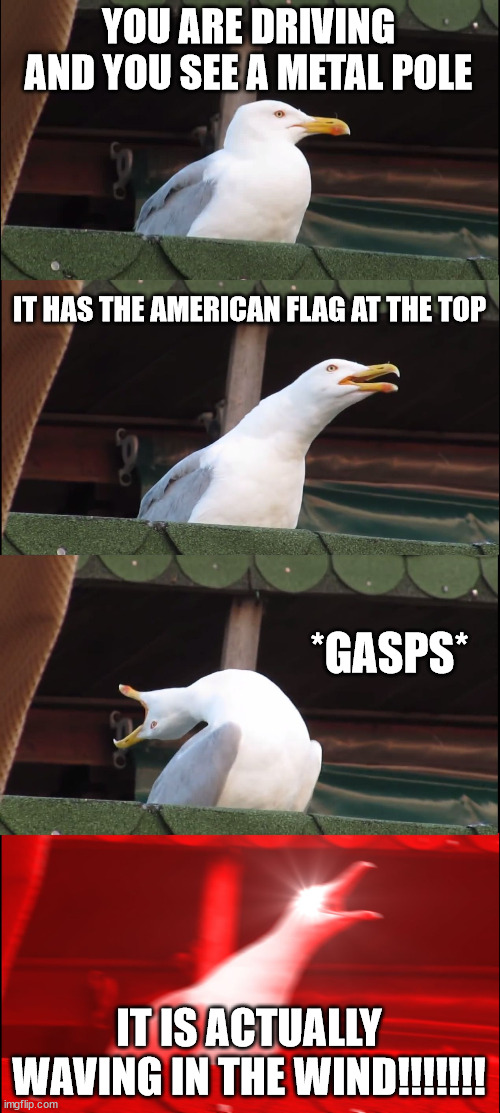 almost never happpens | YOU ARE DRIVING AND YOU SEE A METAL POLE; IT HAS THE AMERICAN FLAG AT THE TOP; *GASPS*; IT IS ACTUALLY WAVING IN THE WIND!!!!!!! | image tagged in memes,inhaling seagull,american flag | made w/ Imgflip meme maker