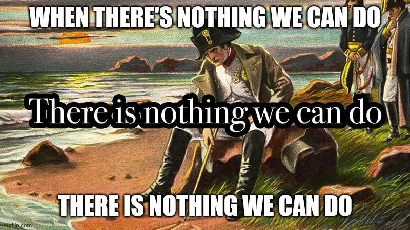 There is nothing we can do | WHEN THERE'S NOTHING WE CAN DO; THERE IS NOTHING WE CAN DO | image tagged in there is nothing we can do | made w/ Imgflip meme maker