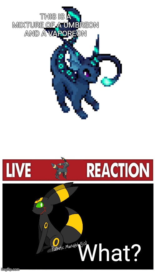 Live midnight reaction | THIS IS A MIXTURE OF A UMBREON AND A VAPOREON; What? | image tagged in vapbreon,live reaction | made w/ Imgflip meme maker