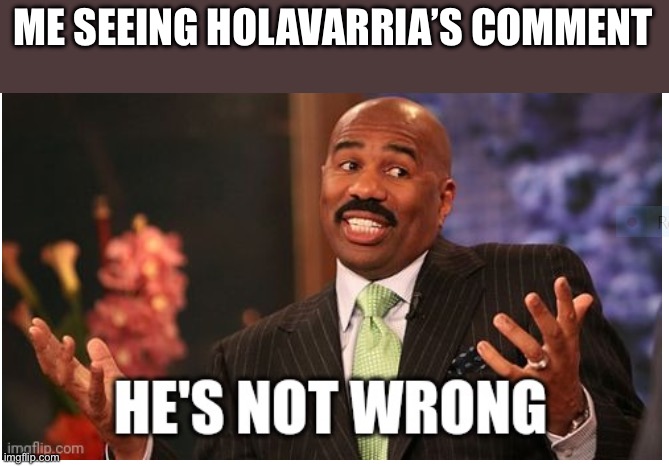Well he's not 'wrong' | ME SEEING HOLAVARRIA’S COMMENT | image tagged in well he's not 'wrong' | made w/ Imgflip meme maker