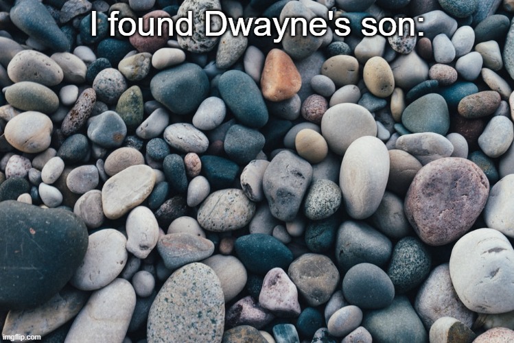 The pebble | I found Dwayne's son: | made w/ Imgflip meme maker