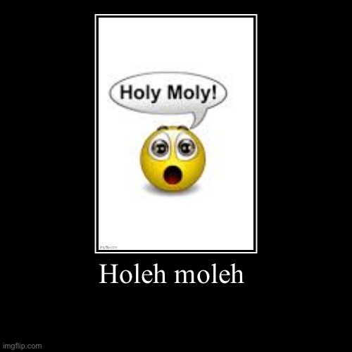 Holeh moleh | | image tagged in funny,demotivationals | made w/ Imgflip demotivational maker