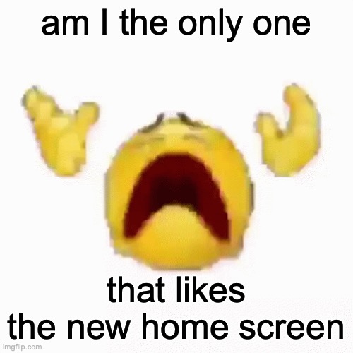:nooo: | am I the only one; that likes the new home screen | image tagged in nooo | made w/ Imgflip meme maker