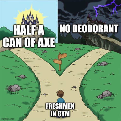 Two Paths | NO DEODORANT; HALF A CAN OF AXE; FRESHMEN IN GYM | image tagged in two paths | made w/ Imgflip meme maker