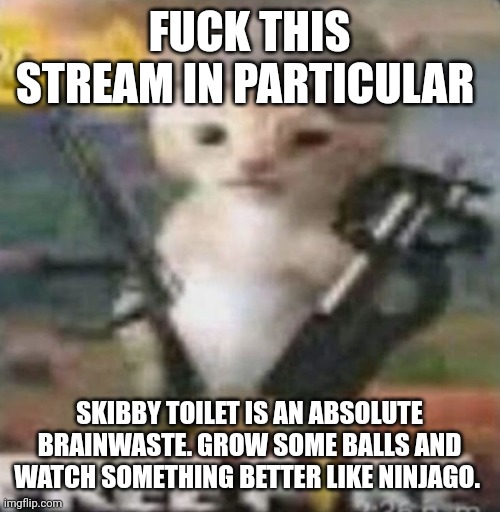 FUCK THIS STREAM IN PARTICULAR; SKIBBY TOILET IS AN ABSOLUTE BRAINWASTE. GROW SOME BALLS AND WATCH SOMETHING BETTER LIKE NINJAGO. | made w/ Imgflip meme maker