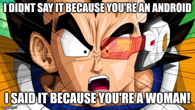 Vegeta | I DIDNT SAY IT BECAUSE YOU'RE AN ANDROID I SAID IT BECAUSE YOU'RE A WOMAN! | image tagged in vegeta | made w/ Imgflip meme maker