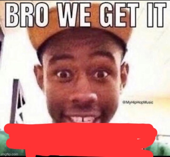 BRO WE GET IT YOU'RE GAY | image tagged in bro we get it you're gay | made w/ Imgflip meme maker