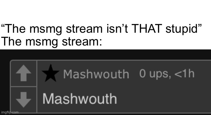 It’s so stupid it’s smart | “The msmg stream isn’t THAT stupid”
The msmg stream: | made w/ Imgflip meme maker