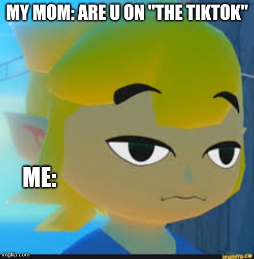 TikTok | MY MOM: ARE U ON "THE TIKTOK"; ME: | image tagged in moms | made w/ Imgflip meme maker
