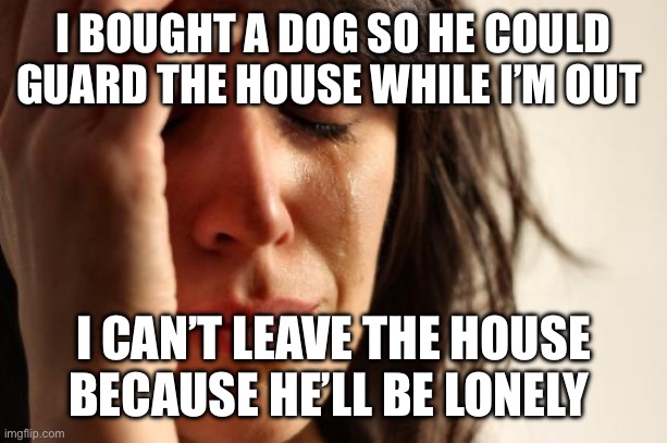 Every dog owner ever! | I BOUGHT A DOG SO HE COULD GUARD THE HOUSE WHILE I’M OUT; I CAN’T LEAVE THE HOUSE BECAUSE HE’LL BE LONELY | image tagged in memes,first world problems,dogs | made w/ Imgflip meme maker