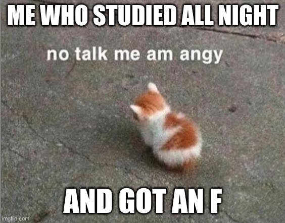 no talk me am angy | ME WHO STUDIED ALL NIGHT AND GOT AN F | image tagged in no talk me am angy | made w/ Imgflip meme maker