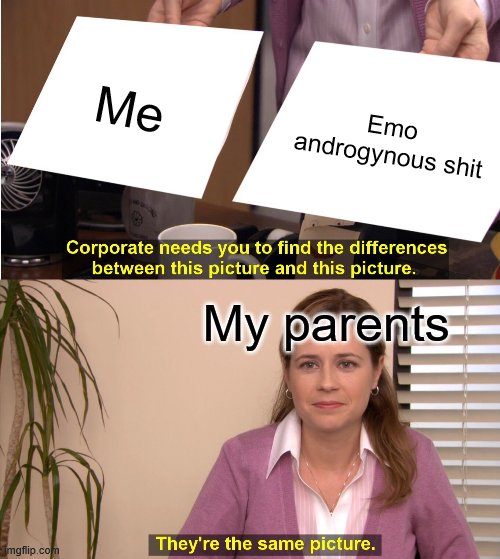 They're The Same Picture Meme | Me; Emo androgynous shit; My parents | image tagged in memes,they're the same picture | made w/ Imgflip meme maker
