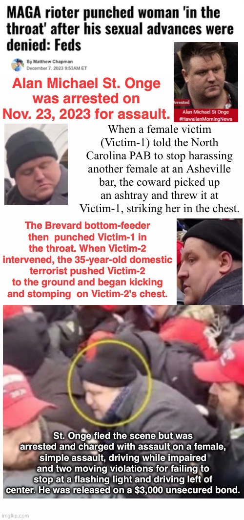 North Carolina Rioter Toured A Bar | image tagged in assault on police,assault on women,domestic terrorist,treason,revoke his bonds,tuff guy when tossind an ashtray | made w/ Imgflip meme maker