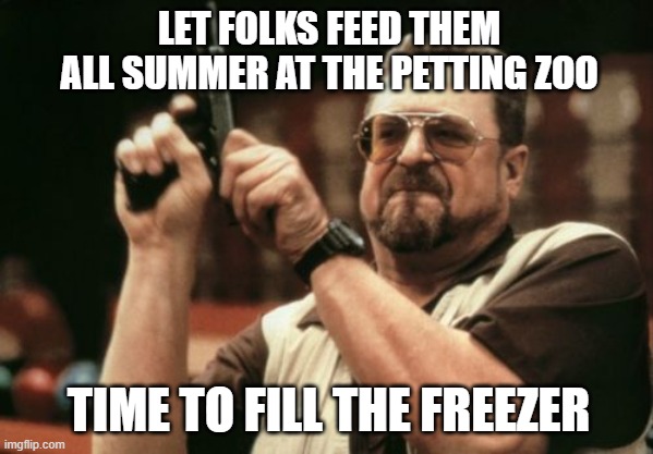 Am I The Only One Around Here | LET FOLKS FEED THEM ALL SUMMER AT THE PETTING ZOO; TIME TO FILL THE FREEZER | image tagged in memes,am i the only one around here | made w/ Imgflip meme maker