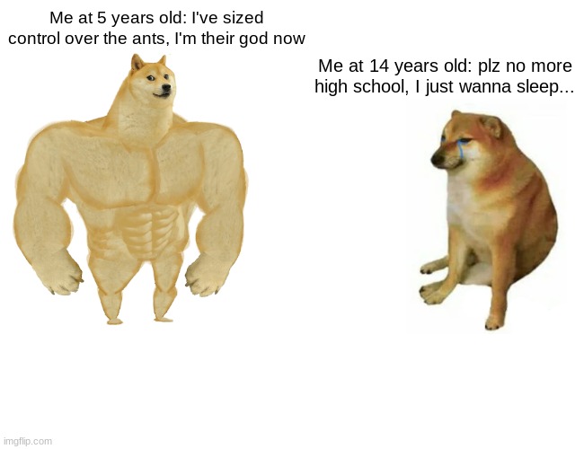 Buff Doge vs. Cheems Meme | Me at 5 years old: I've sized control over the ants, I'm their god now; Me at 14 years old: plz no more high school, I just wanna sleep... | image tagged in memes,buff doge vs cheems | made w/ Imgflip meme maker
