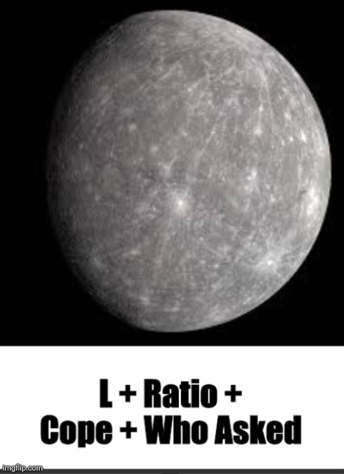 L + Ratio | image tagged in l ratio | made w/ Imgflip meme maker