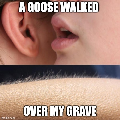 Whisper and Goosebumps | A GOOSE WALKED; OVER MY GRAVE | image tagged in whisper and goosebumps | made w/ Imgflip meme maker
