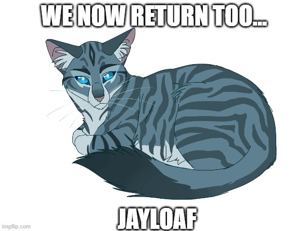 JaY lOaF | WE NOW RETURN TOO... JAYLOAF | image tagged in meatloaf | made w/ Imgflip meme maker