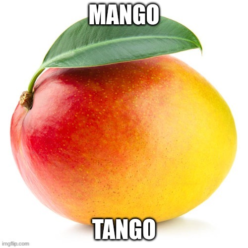 Mango | MANGO; TANGO | image tagged in mango | made w/ Imgflip meme maker