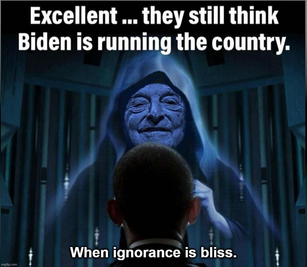 When ignorance is bliss. | When ignorance is bliss. | image tagged in ignorance is bliss,stupid people be like,stupid democrats,special kind of stupid,rinos,special education | made w/ Imgflip meme maker