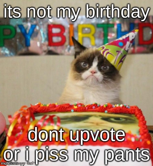 please dont | its not my birthday; dont upvote or i piss my pants | image tagged in memes,grumpy cat birthday,grumpy cat,funny | made w/ Imgflip meme maker